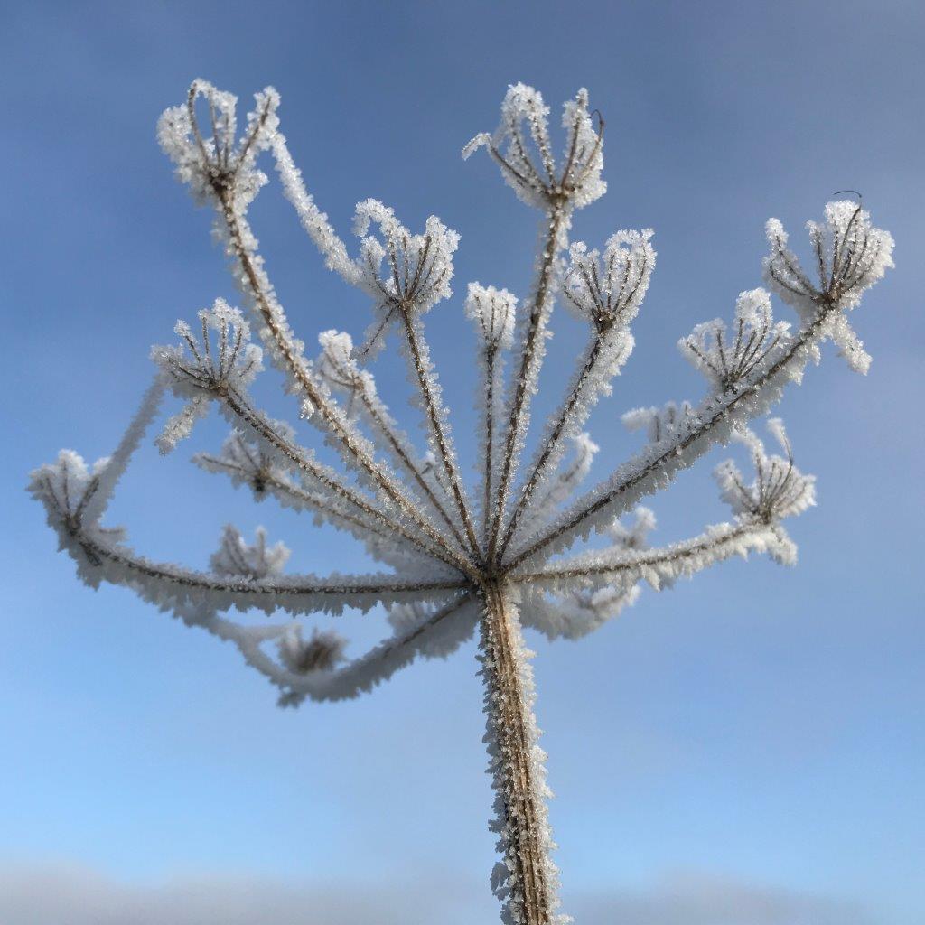 P comme photo by thierry noben givre